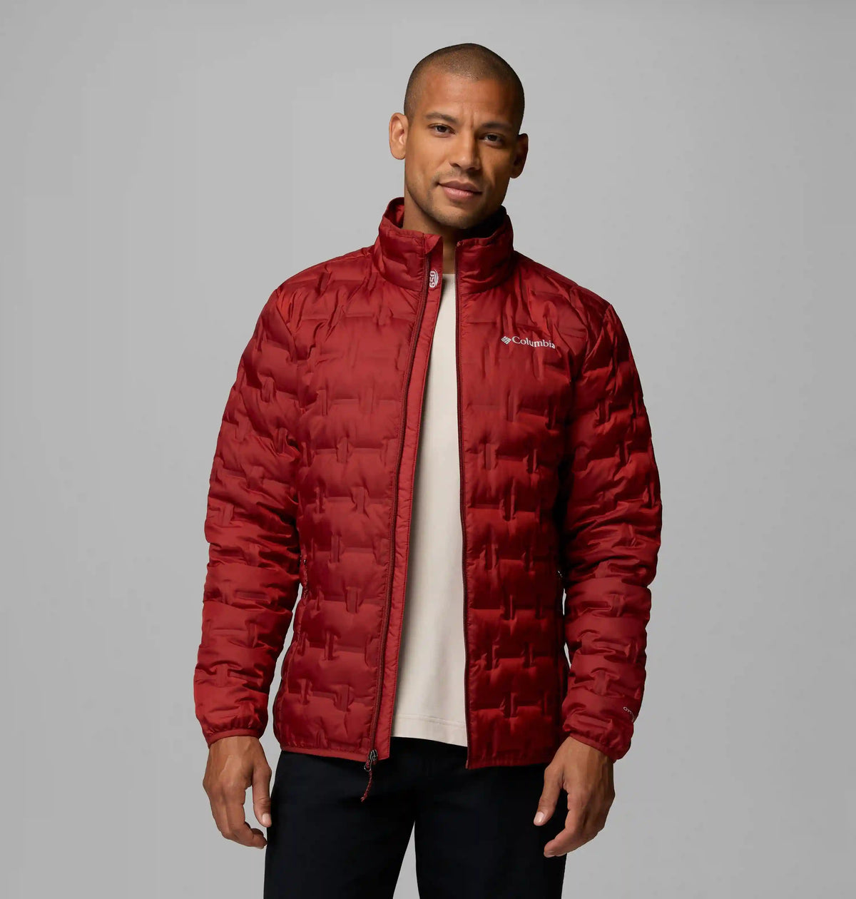 Men's Delta Ridge II Down Jacket