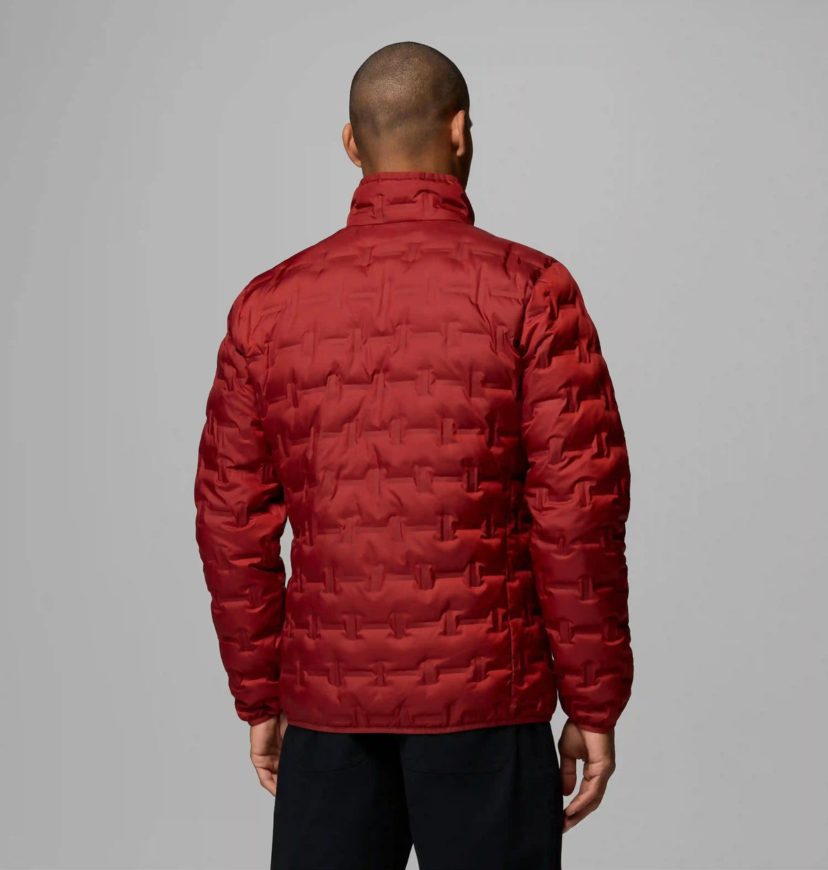 Men's Delta Ridge II Down Jacket