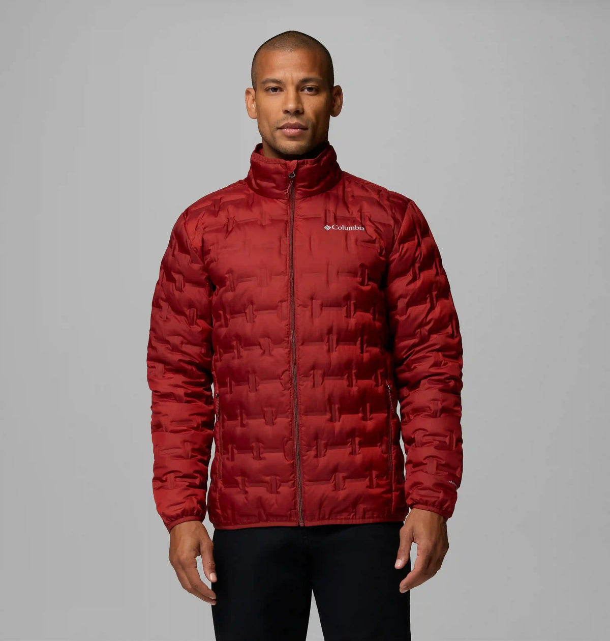 Men's Delta Ridge II Down Jacket