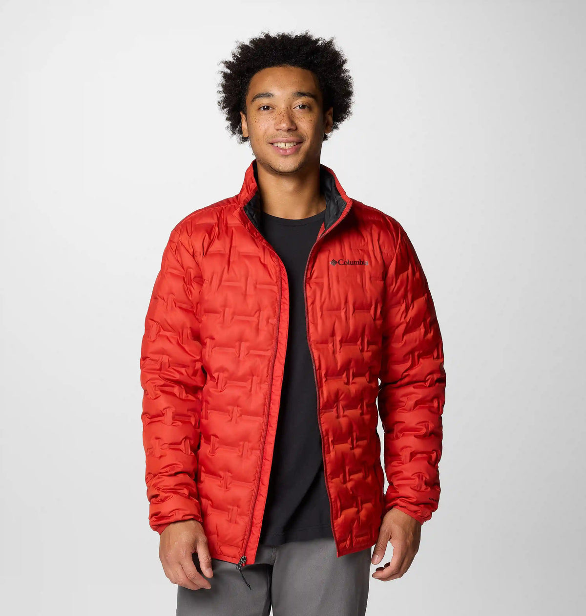 Men's Delta Ridge II Down Jacket
