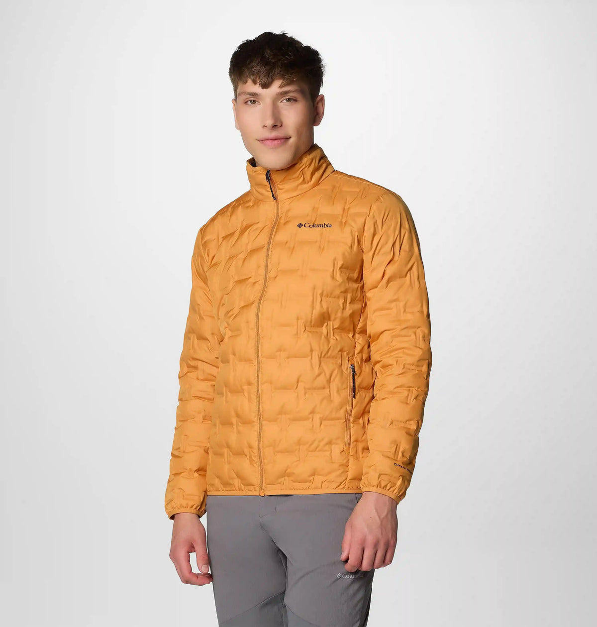 Men's Delta Ridge II Down Jacket