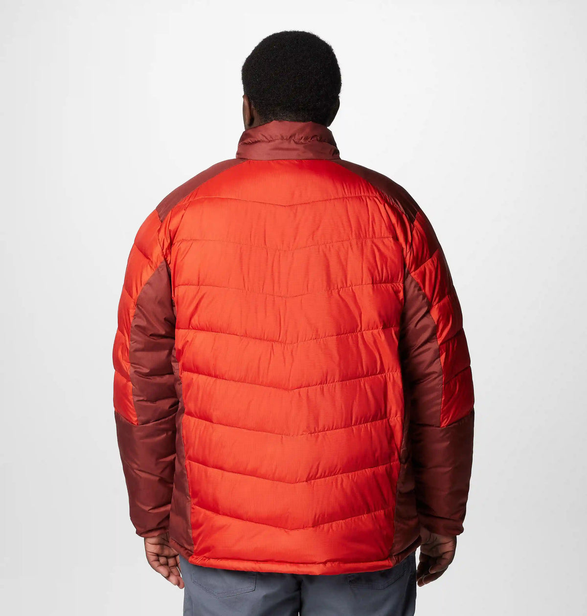 Men's Labyrinth Loop II Jacket - Big