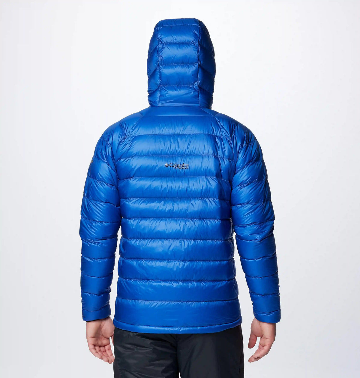 Men's Arctic Crest Down Hooded Jacket