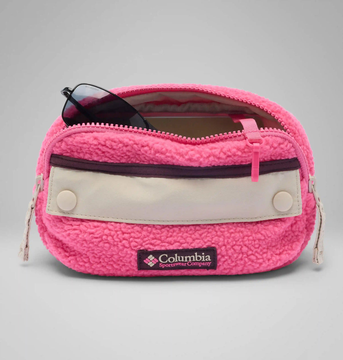 Helvetia II Hip Pack