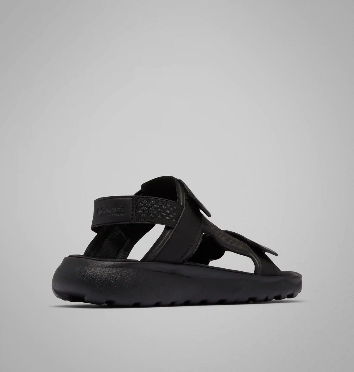 Men's Peakfreak Roam Sandal