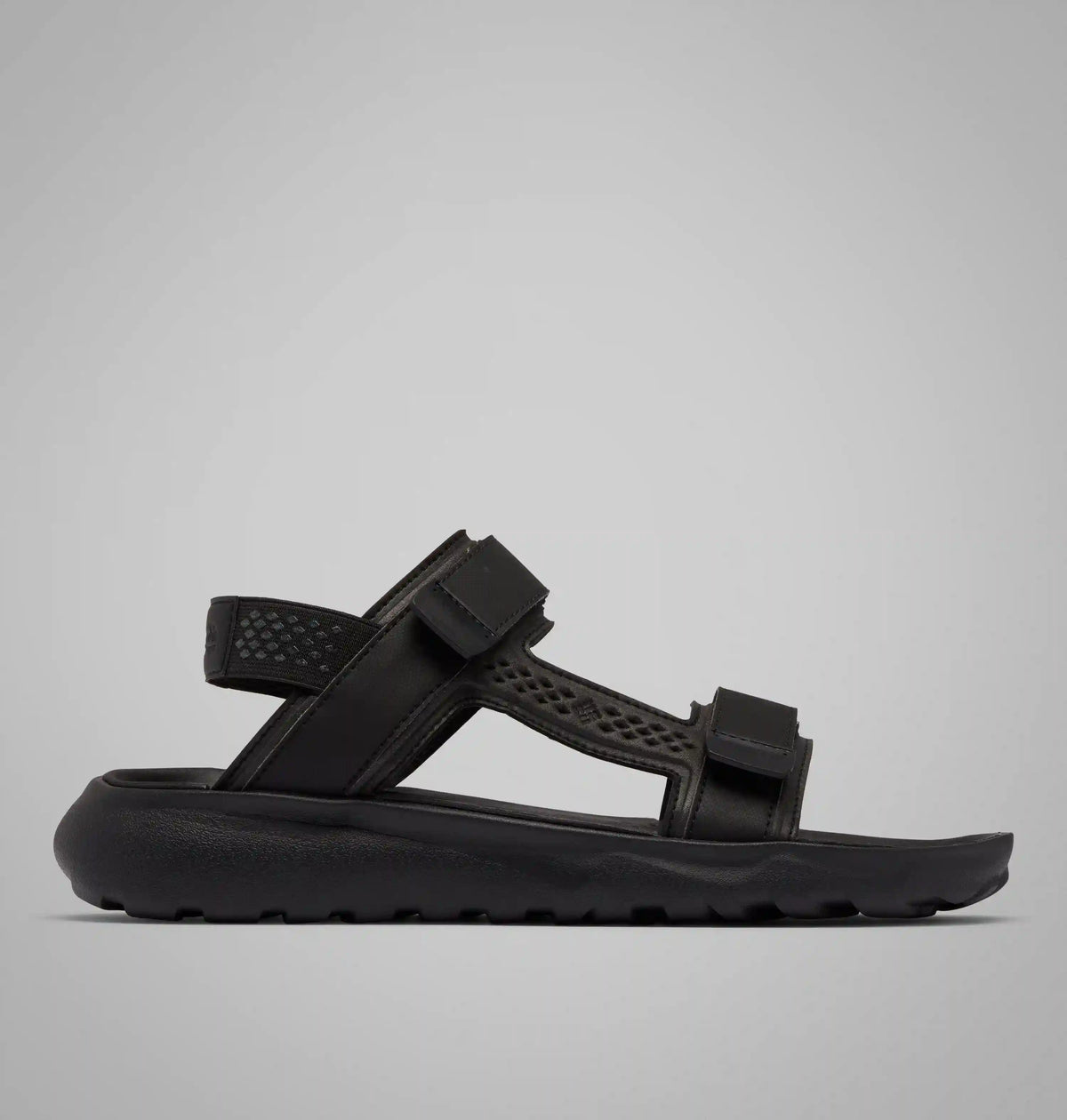 Men's Peakfreak Roam Sandal