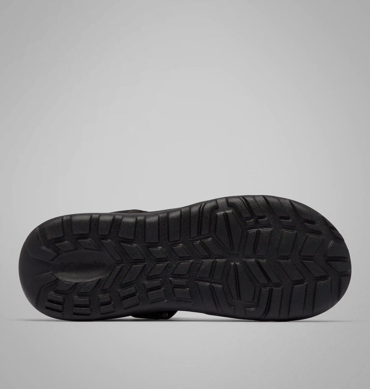 Men's Peakfreak Roam Sandal