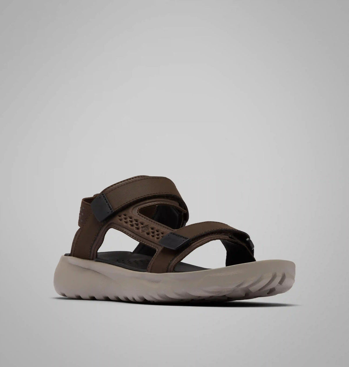 Men's Peakfreak Roam Sandal