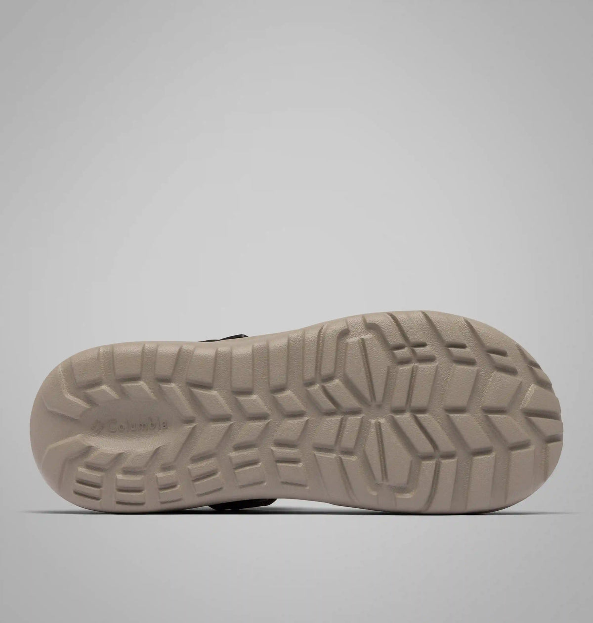 Men's Peakfreak Roam Sandal