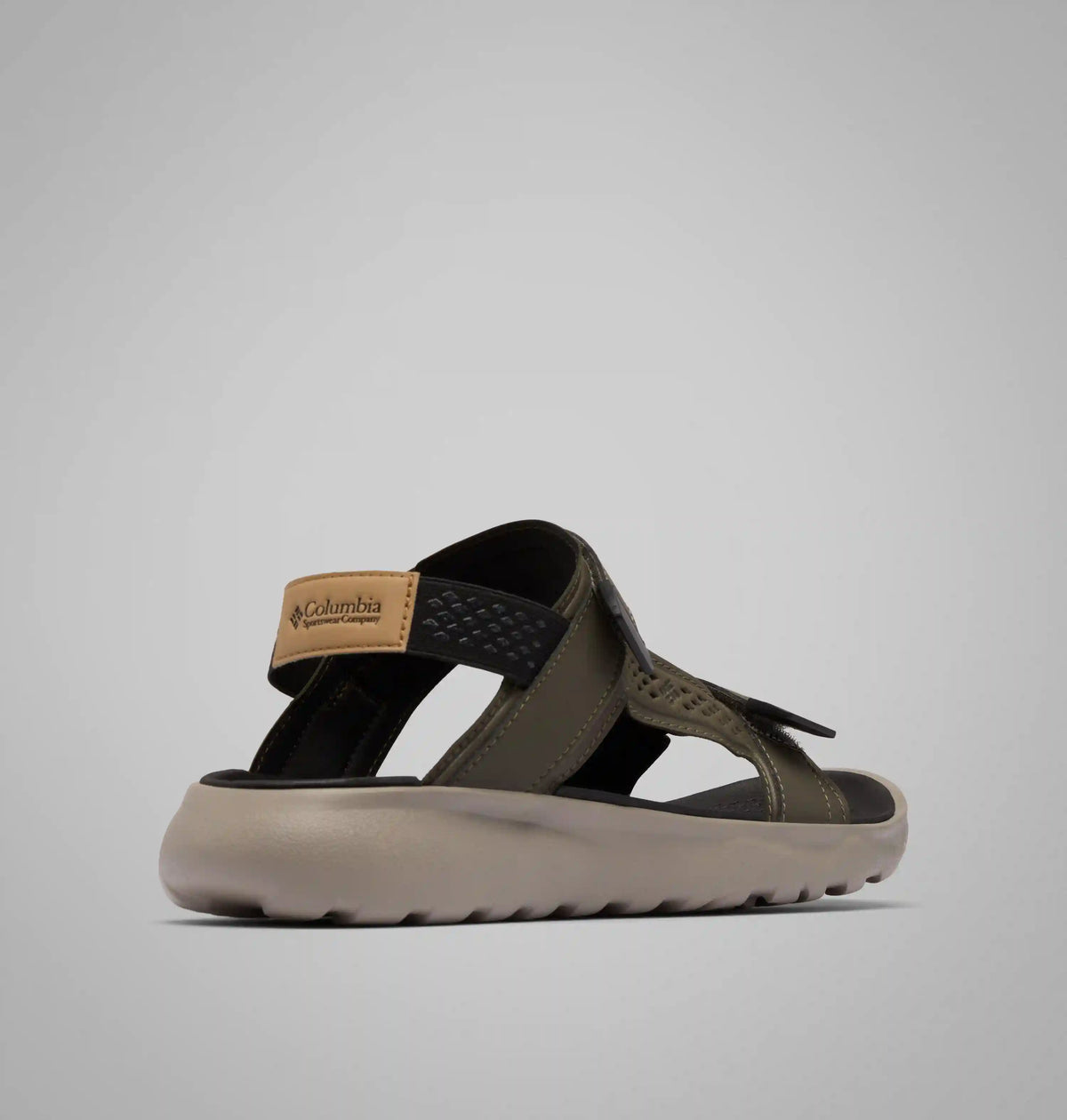 Men's Peakfreak Roam Sandal