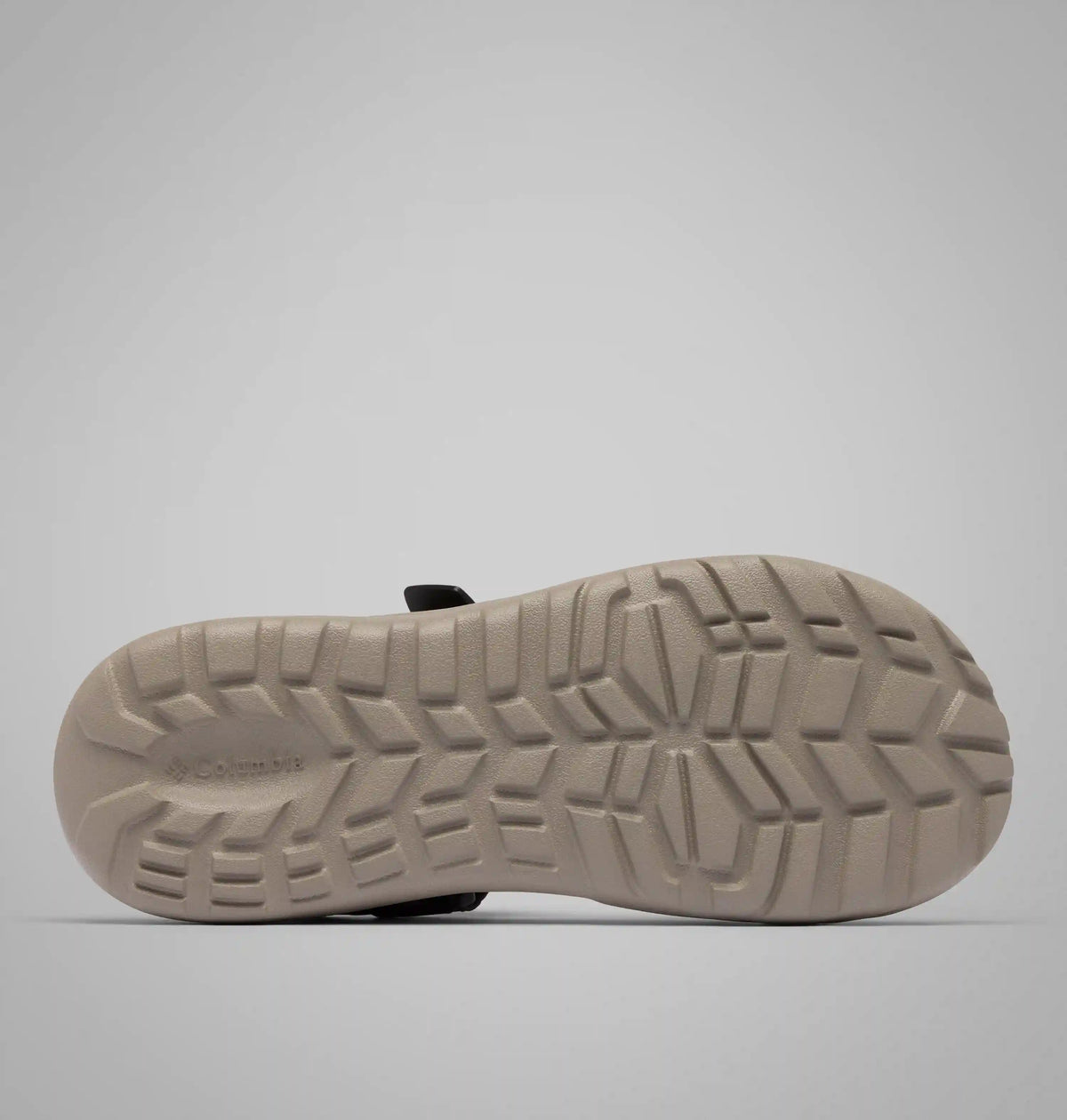 Men's Peakfreak Roam Sandal