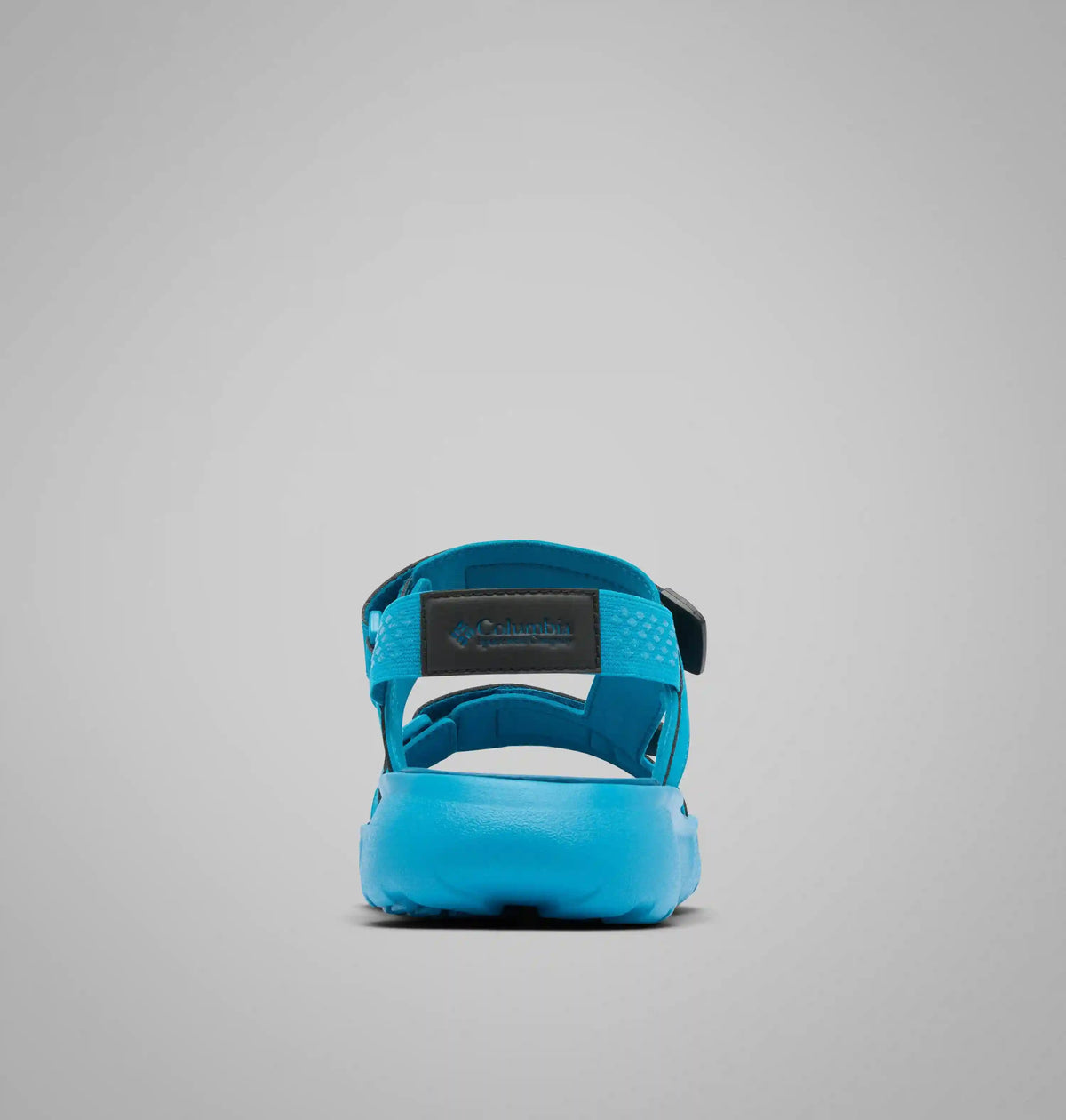 Men's Peakfreak Roam Sandal