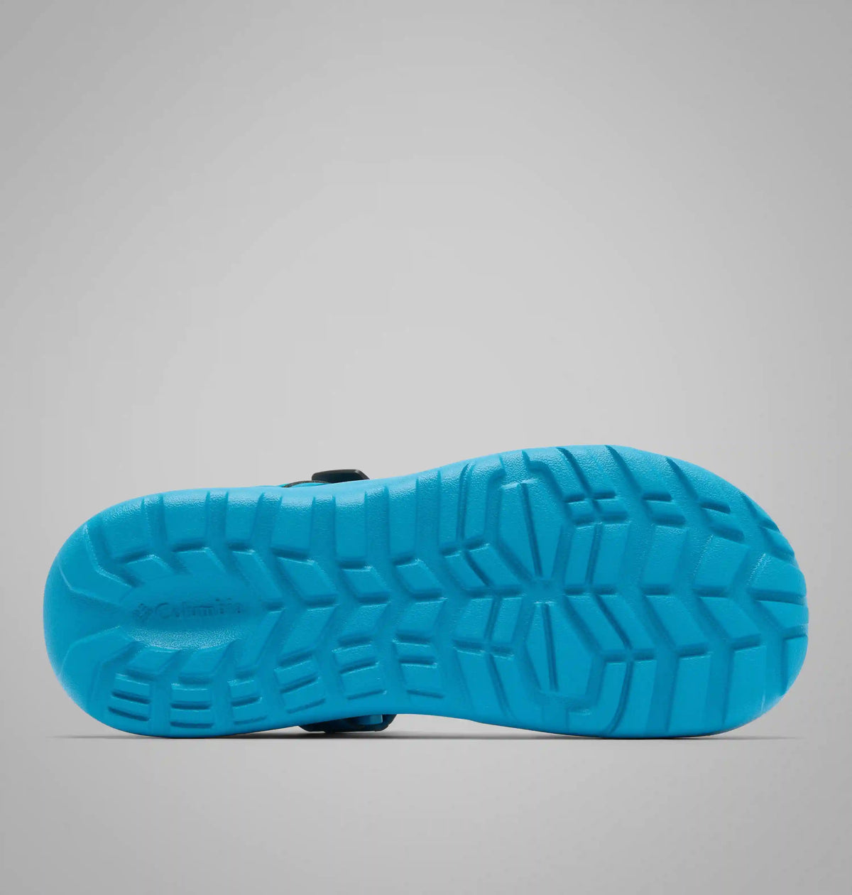 Men's Peakfreak Roam Sandal
