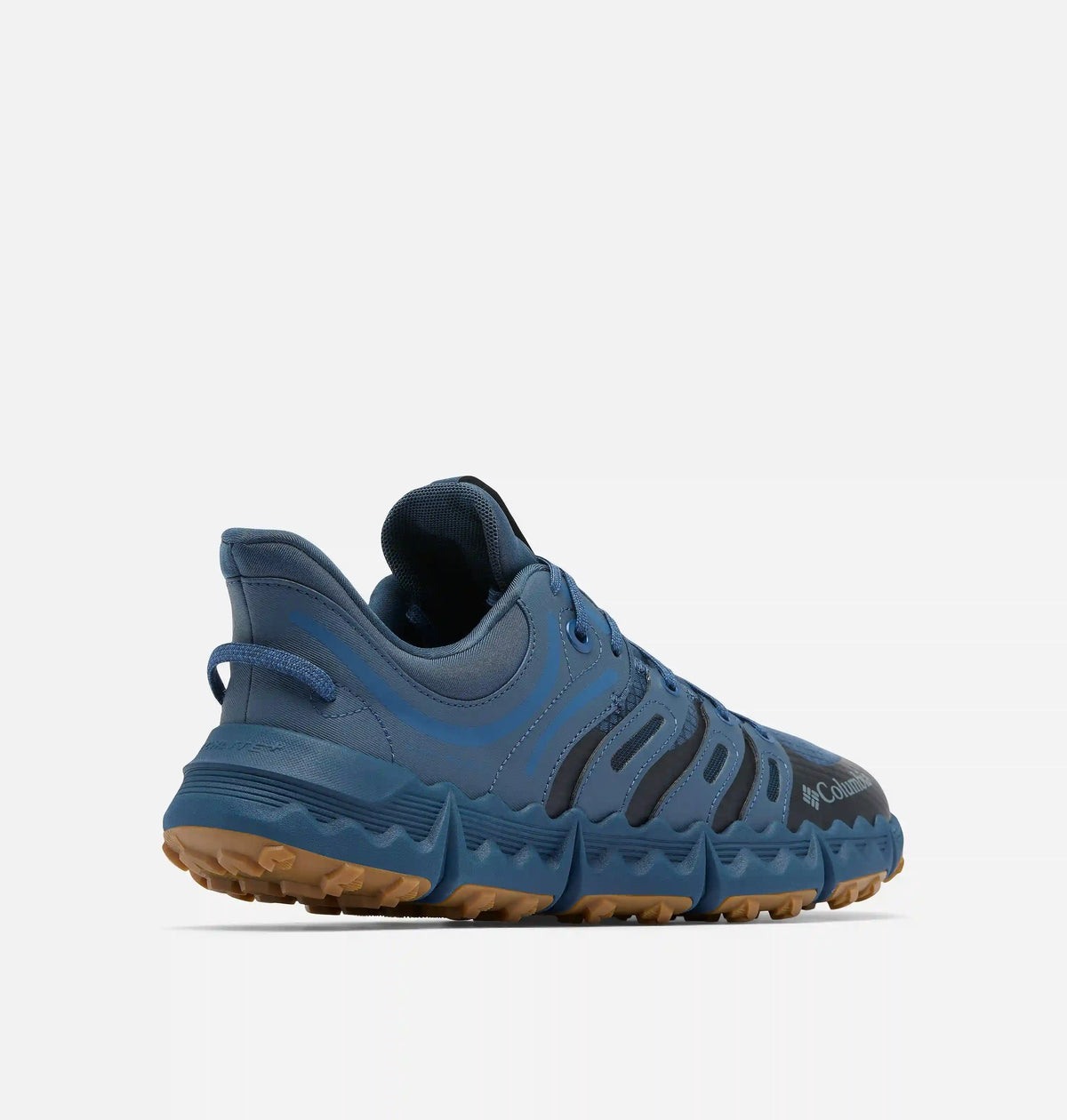 Men's Voyager FLX PCT Shoe