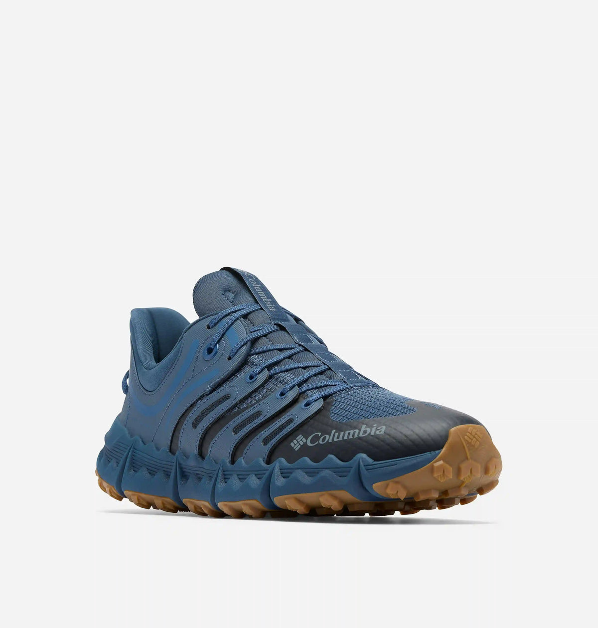 Men's Voyager FLX PCT Shoe