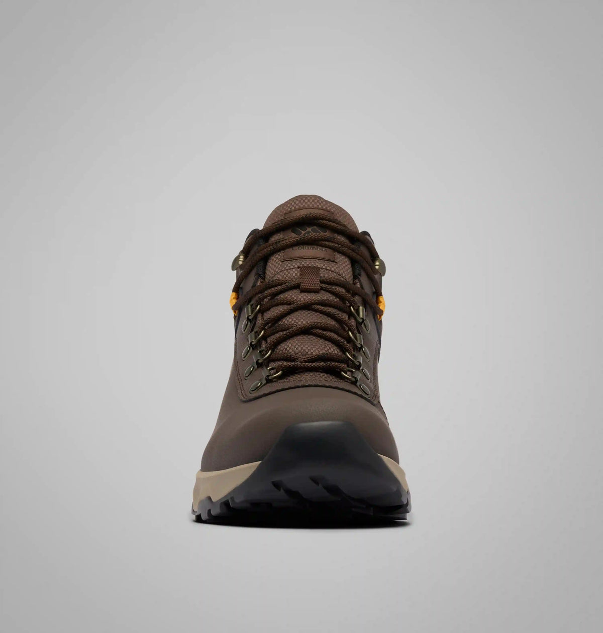 Men's Newton Wander LTR Boot