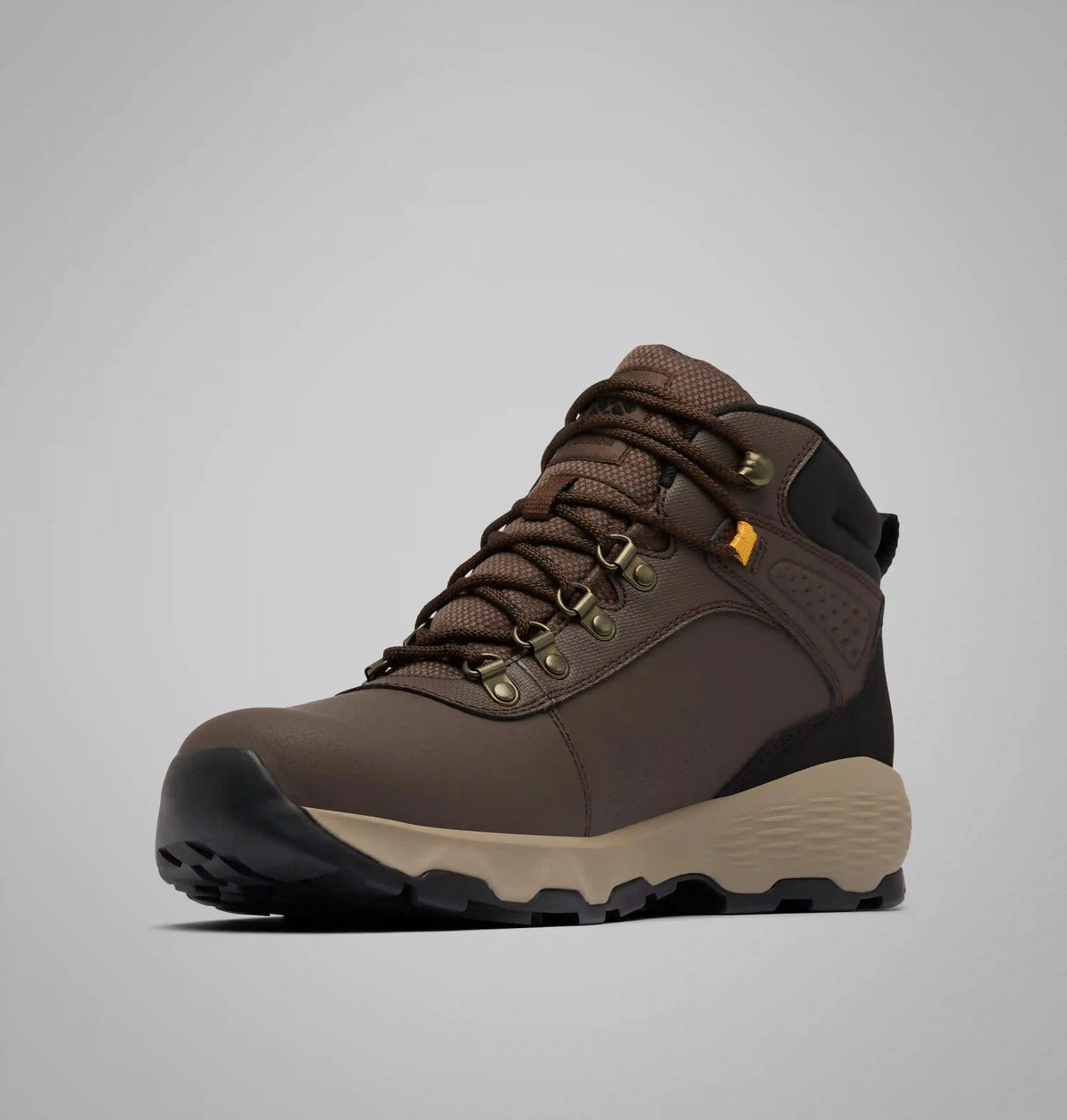 Men's Newton Wander LTR Boot - Wide