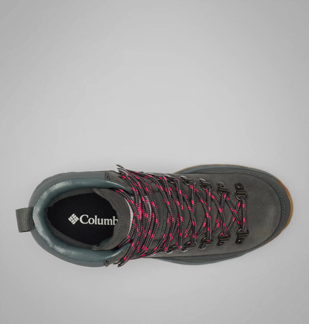 Women's Newton Alpine PT Boot