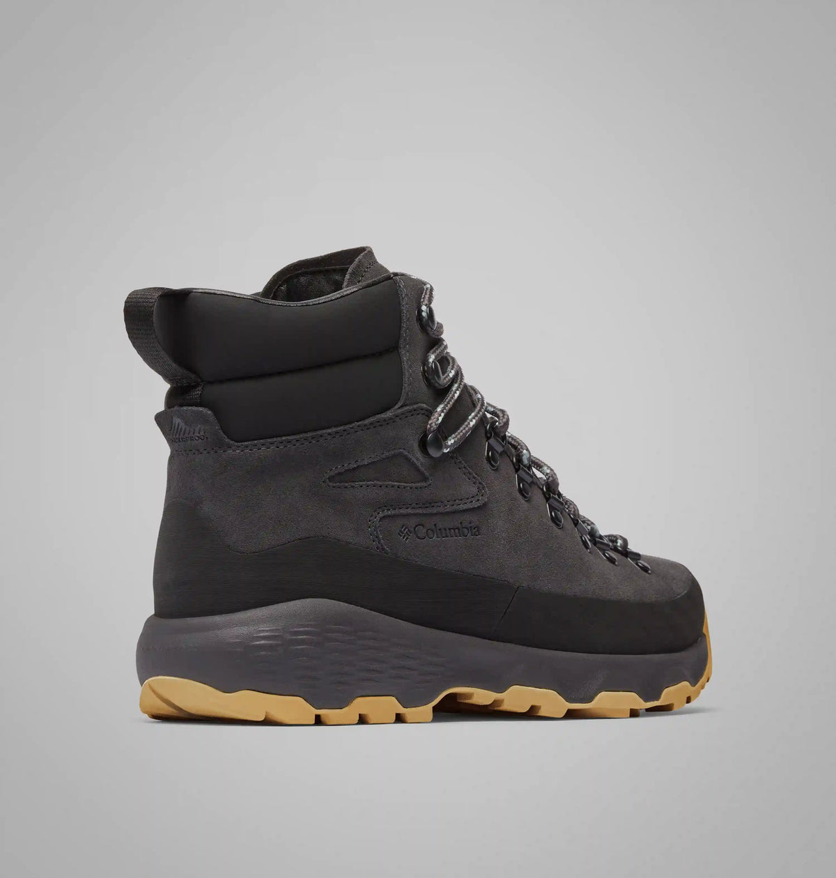 Men's Newton Alpine PT Boot