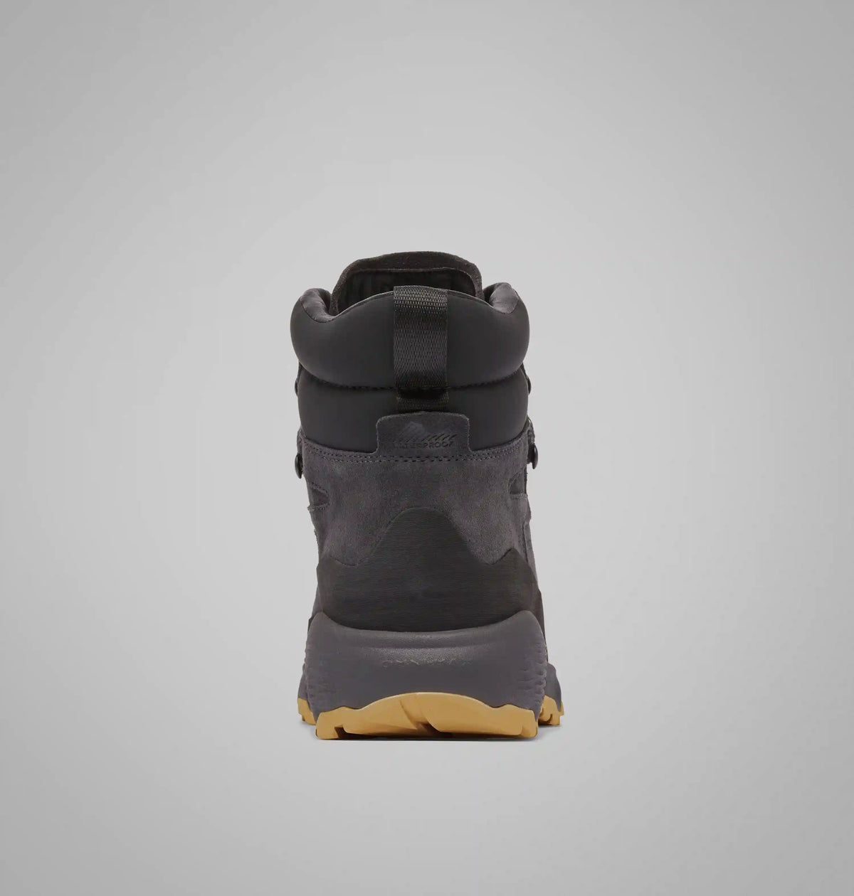Men's Newton Alpine PT Boot