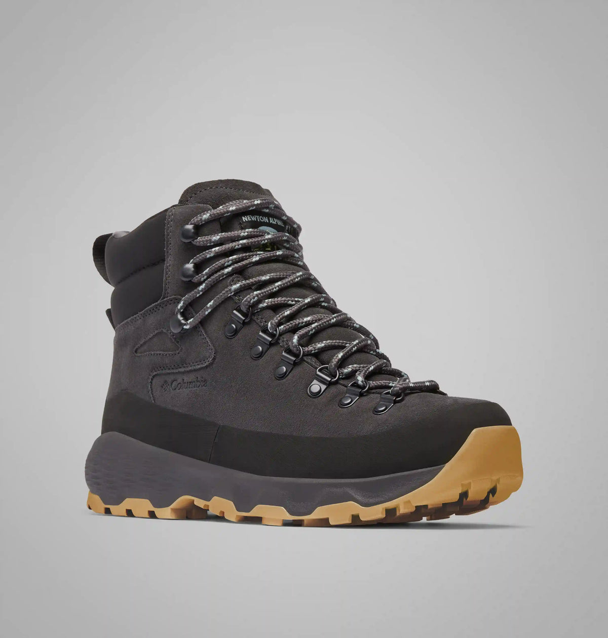 Men's Newton Alpine PT Boot