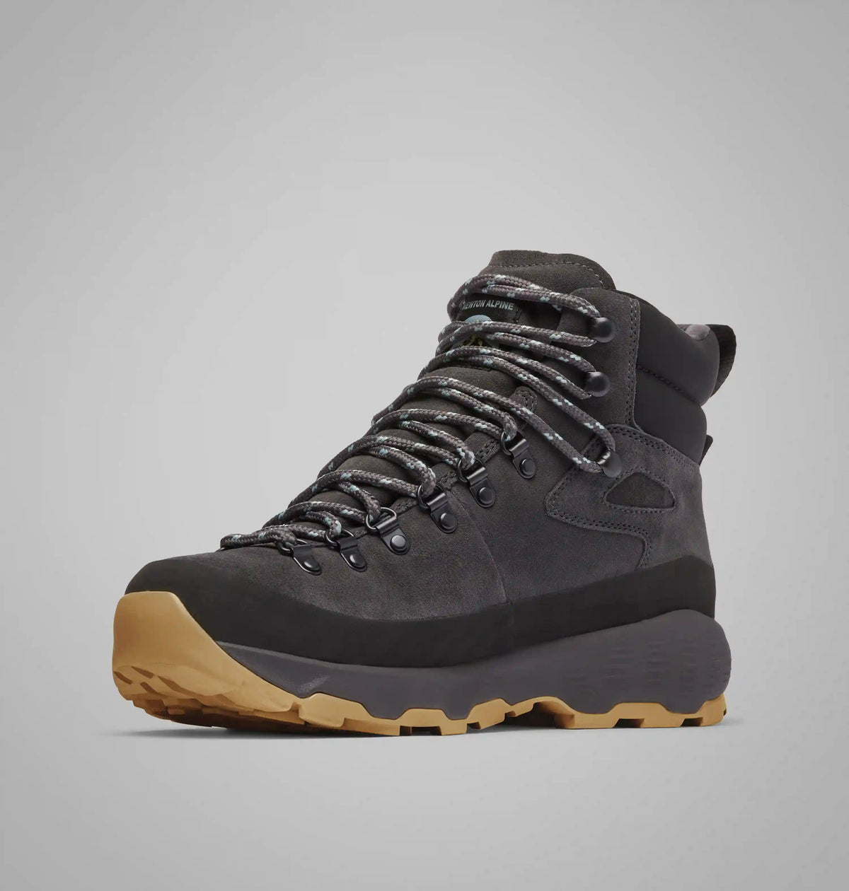 Men's Newton Alpine PT Boot