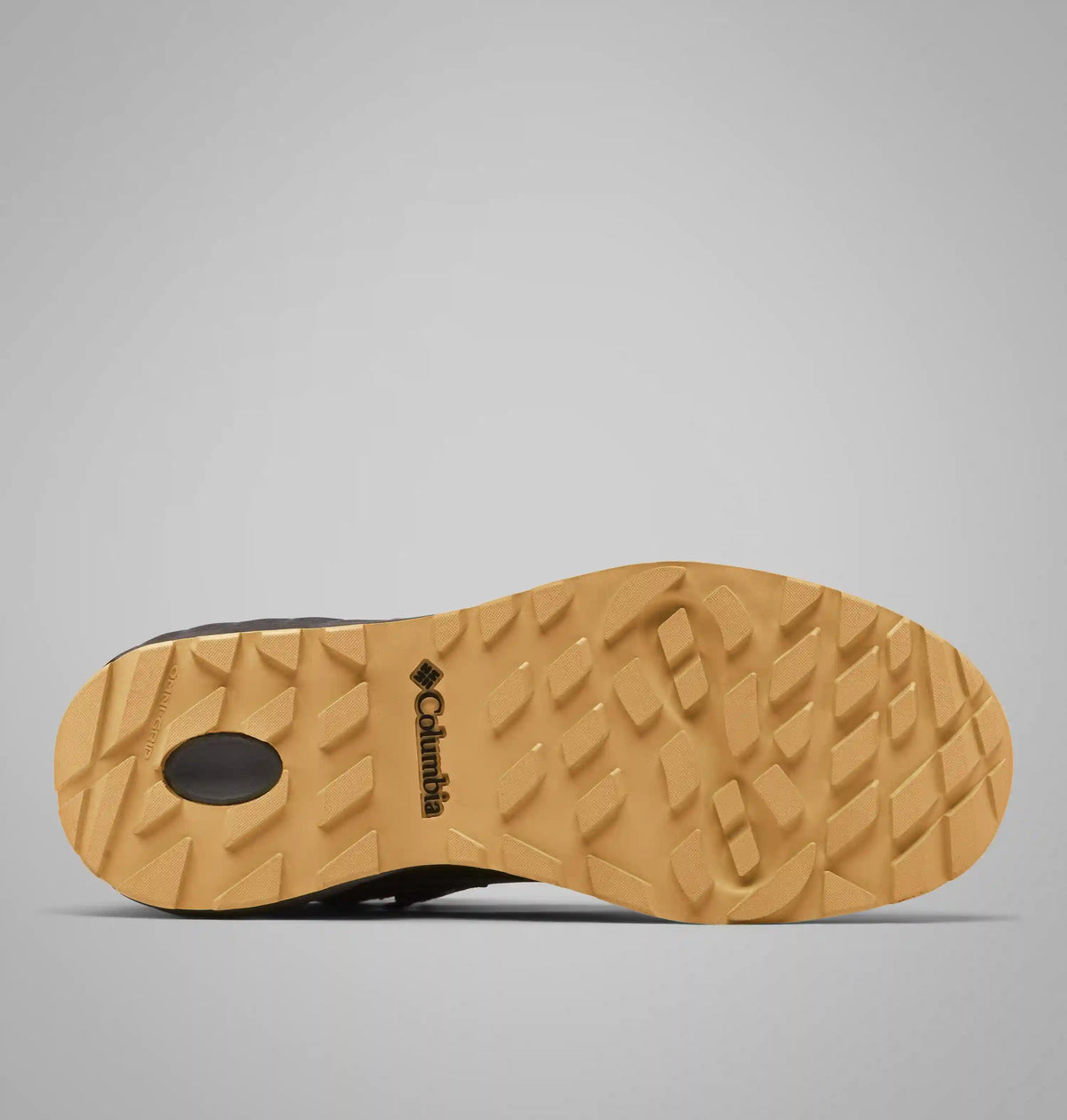Men's Newton Alpine PT Boot