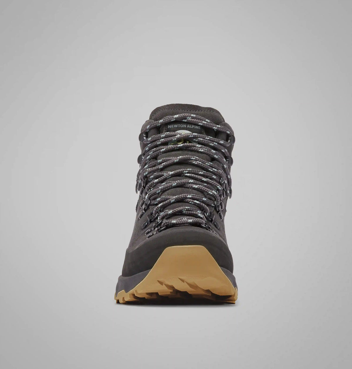Men's Newton Alpine PT Boot