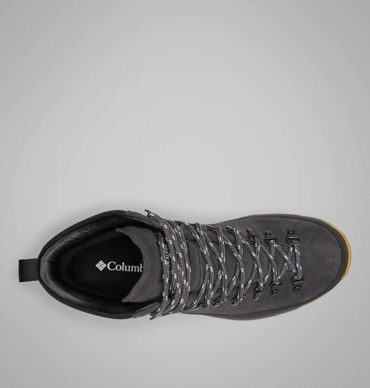 Men's Newton Alpine PT Boot
