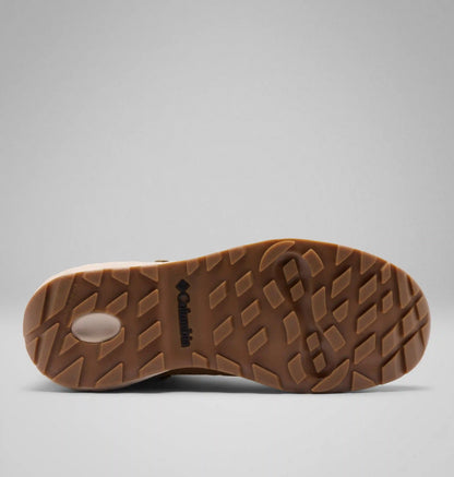 Men's Newton Alpine PT Boot