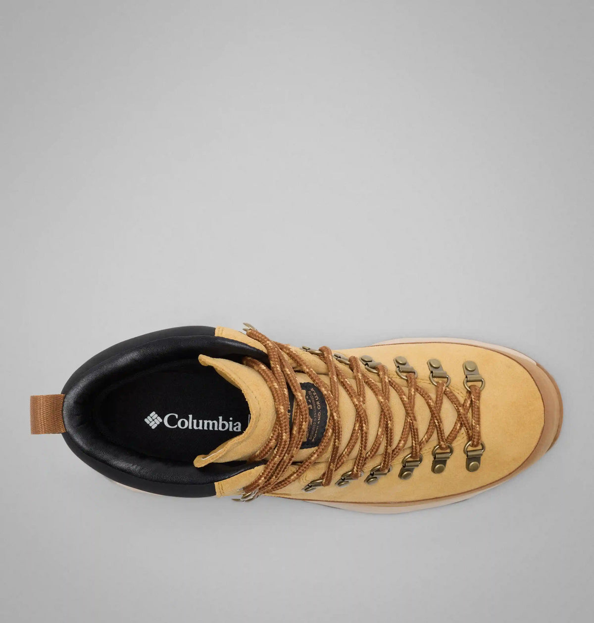 Men's Newton Alpine PT Boot