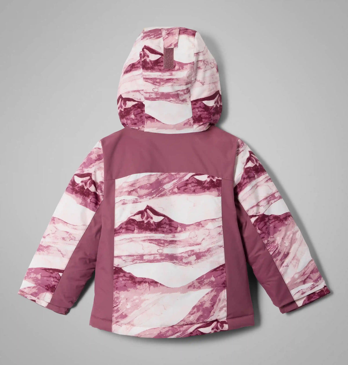 Girls' Toddler Horizon Ride IV Printed Jacket