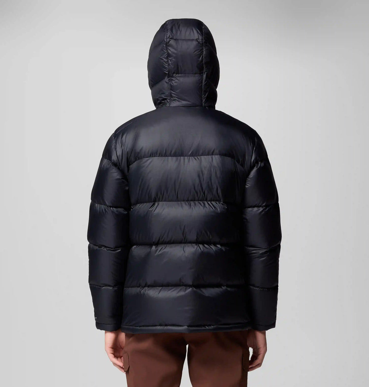 Men's Cloudview Down Hooded Jacket