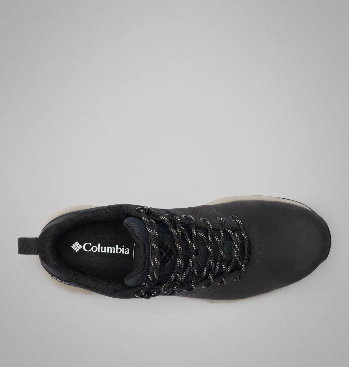 Men's Newton Nimble LTR Shoe