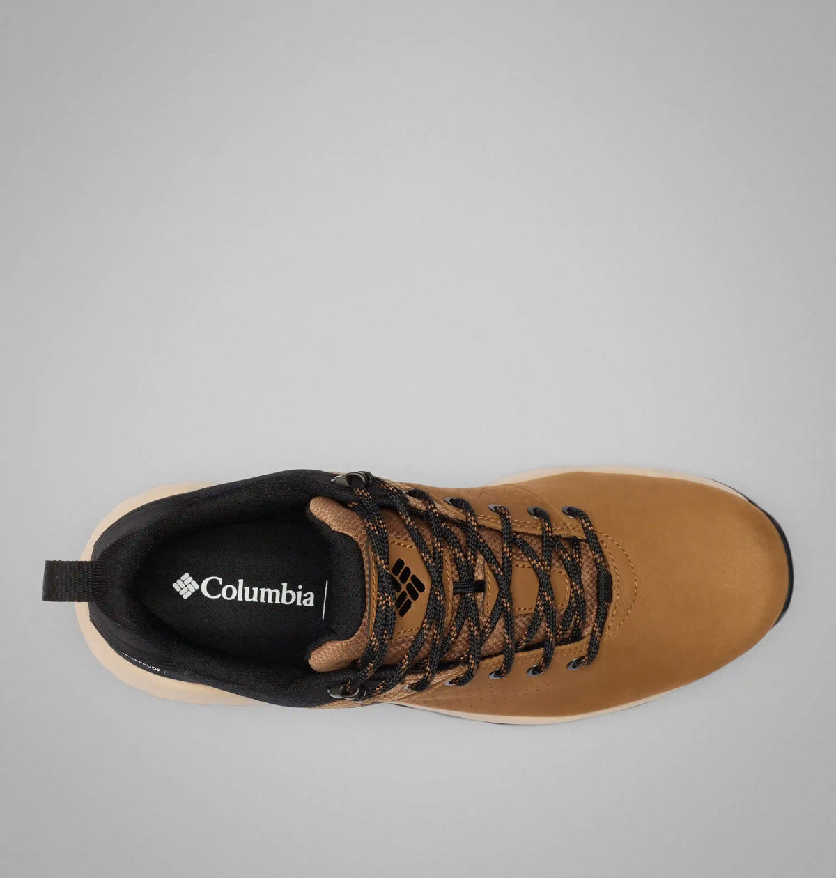 Men's Newton Nimble LTR Shoe