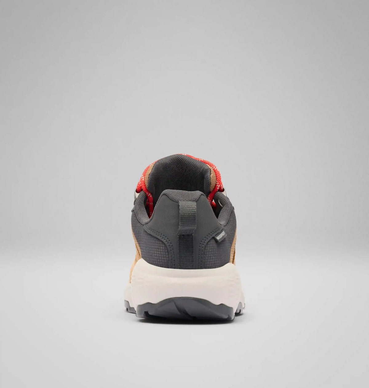 Women's Newton Nimble LTR Shoe
