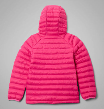 Kids' Powder Pass Hooded Jacket