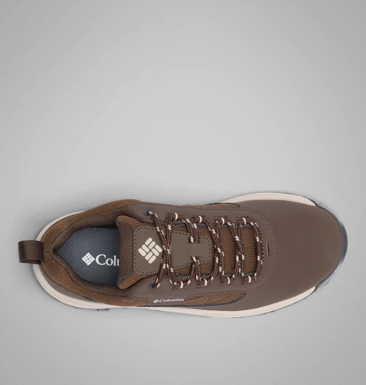 Women's Transverse Hike Low Shoe