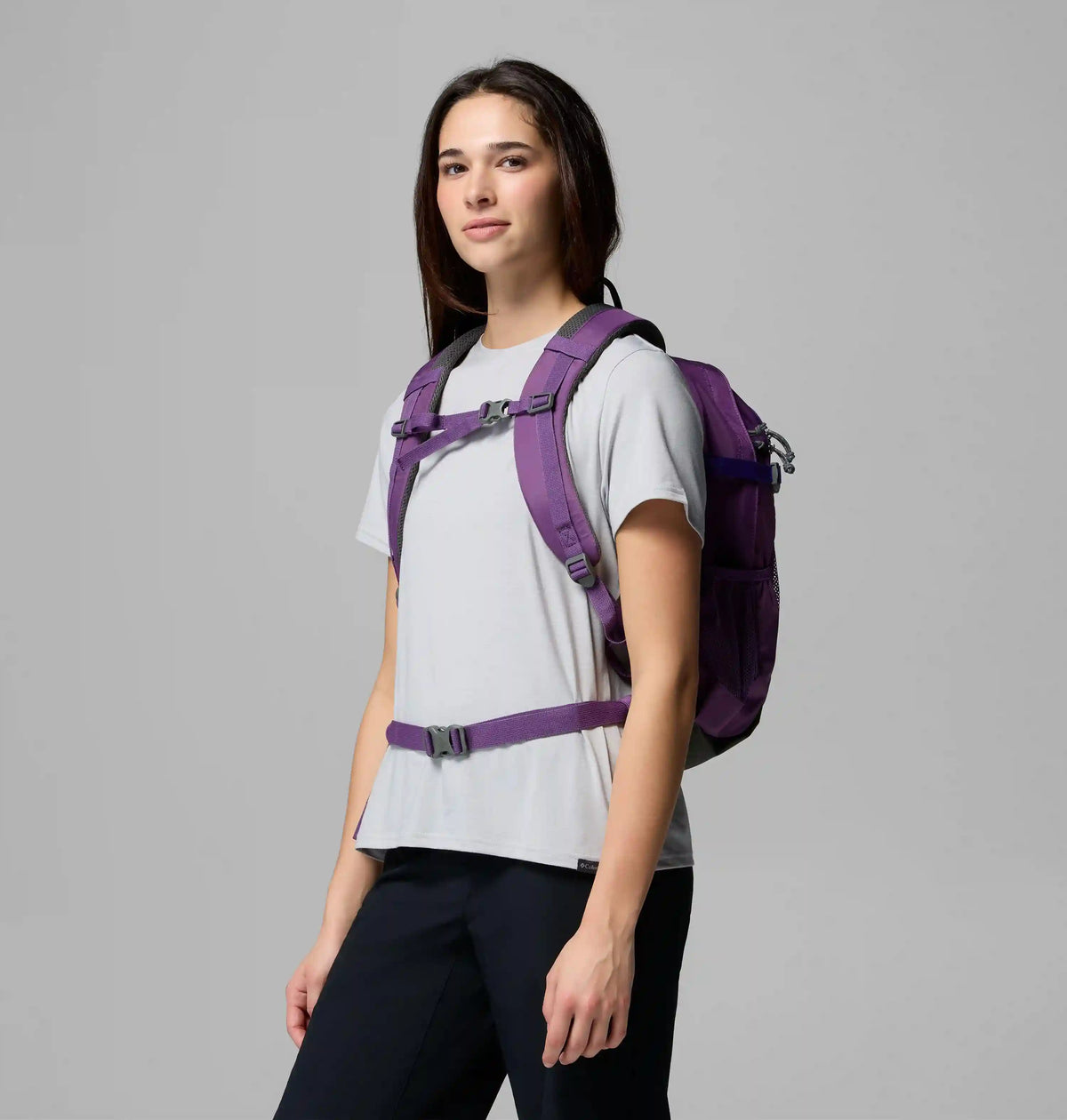 Castle Crest 25L Backpack