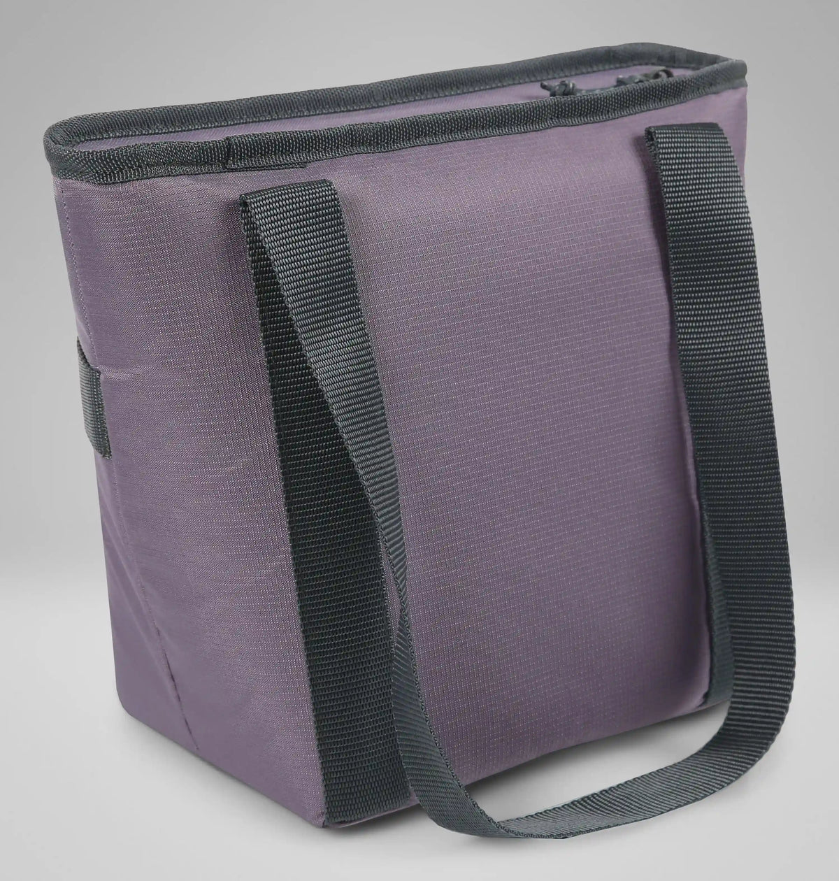 Kruser Ridge Lunch Tote