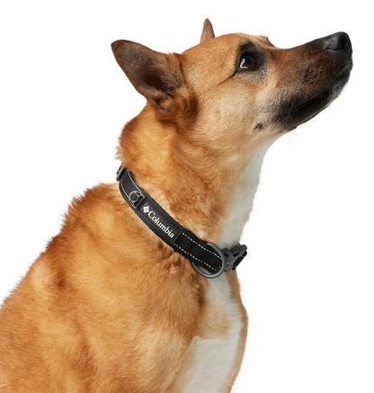 Silver Ridge Dog Collar