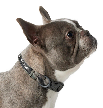 Silver Ridge Dog Collar