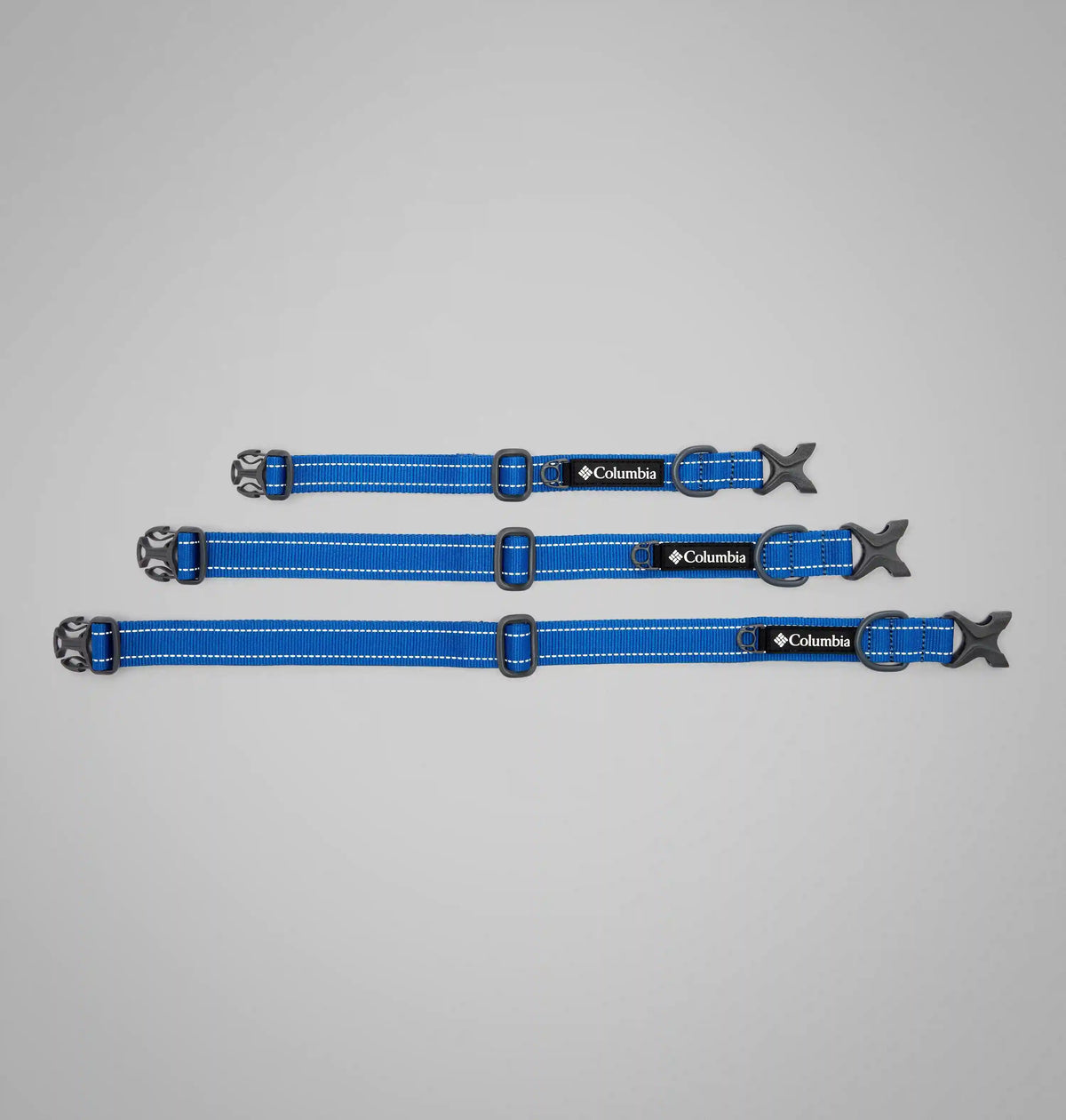 Silver Ridge Dog Collar