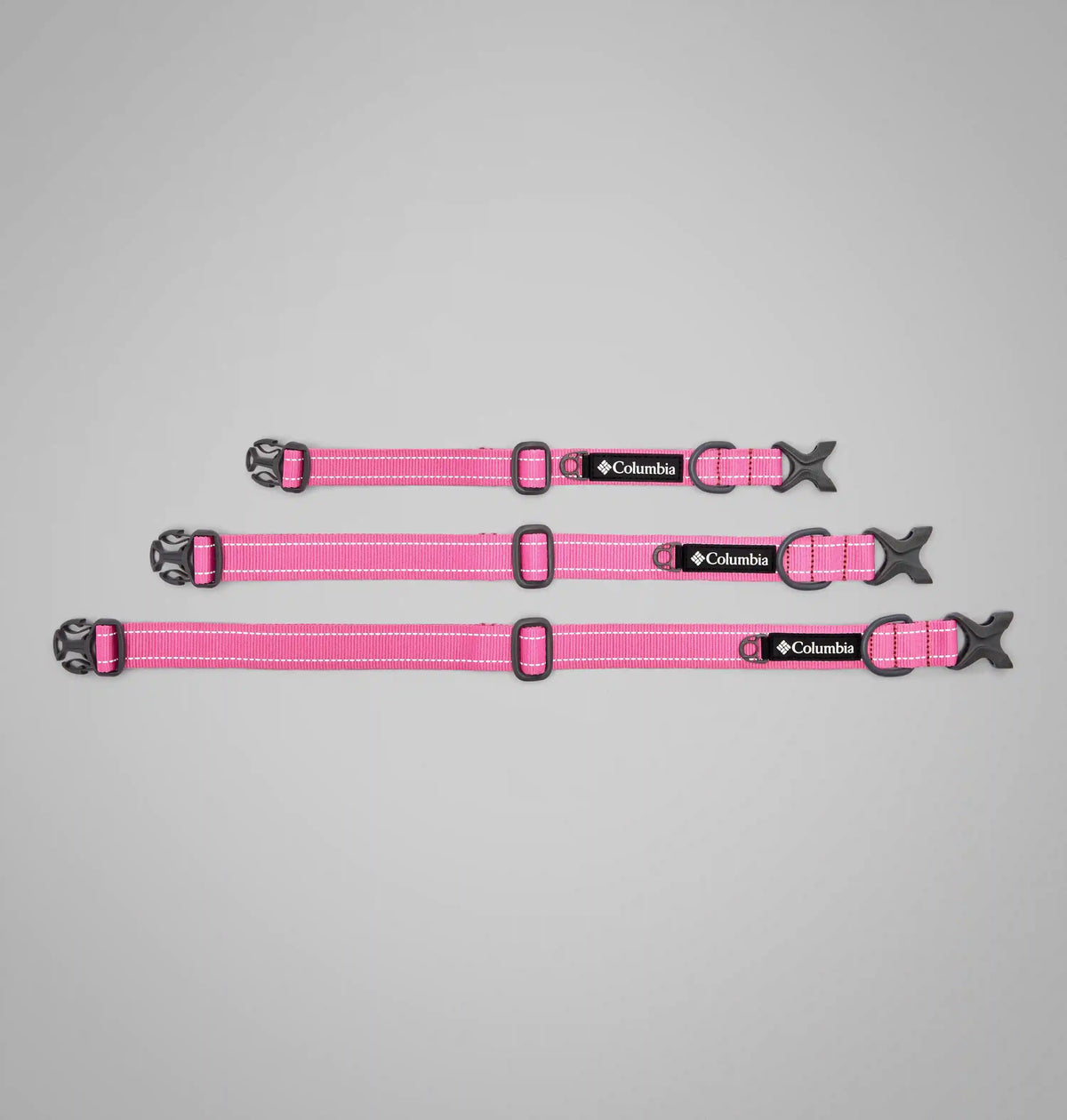 Silver Ridge Dog Collar