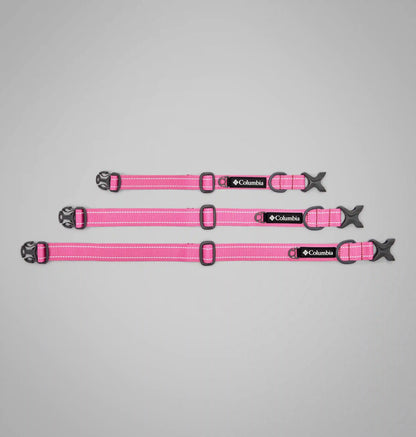 Silver Ridge Dog Collar