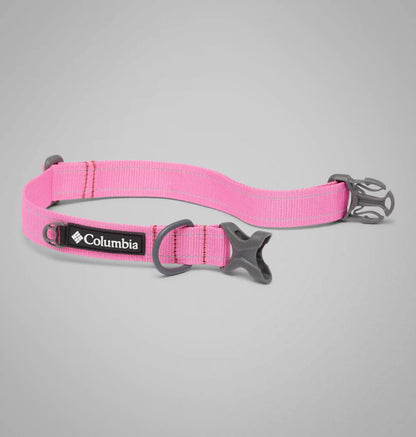Silver Ridge Dog Collar
