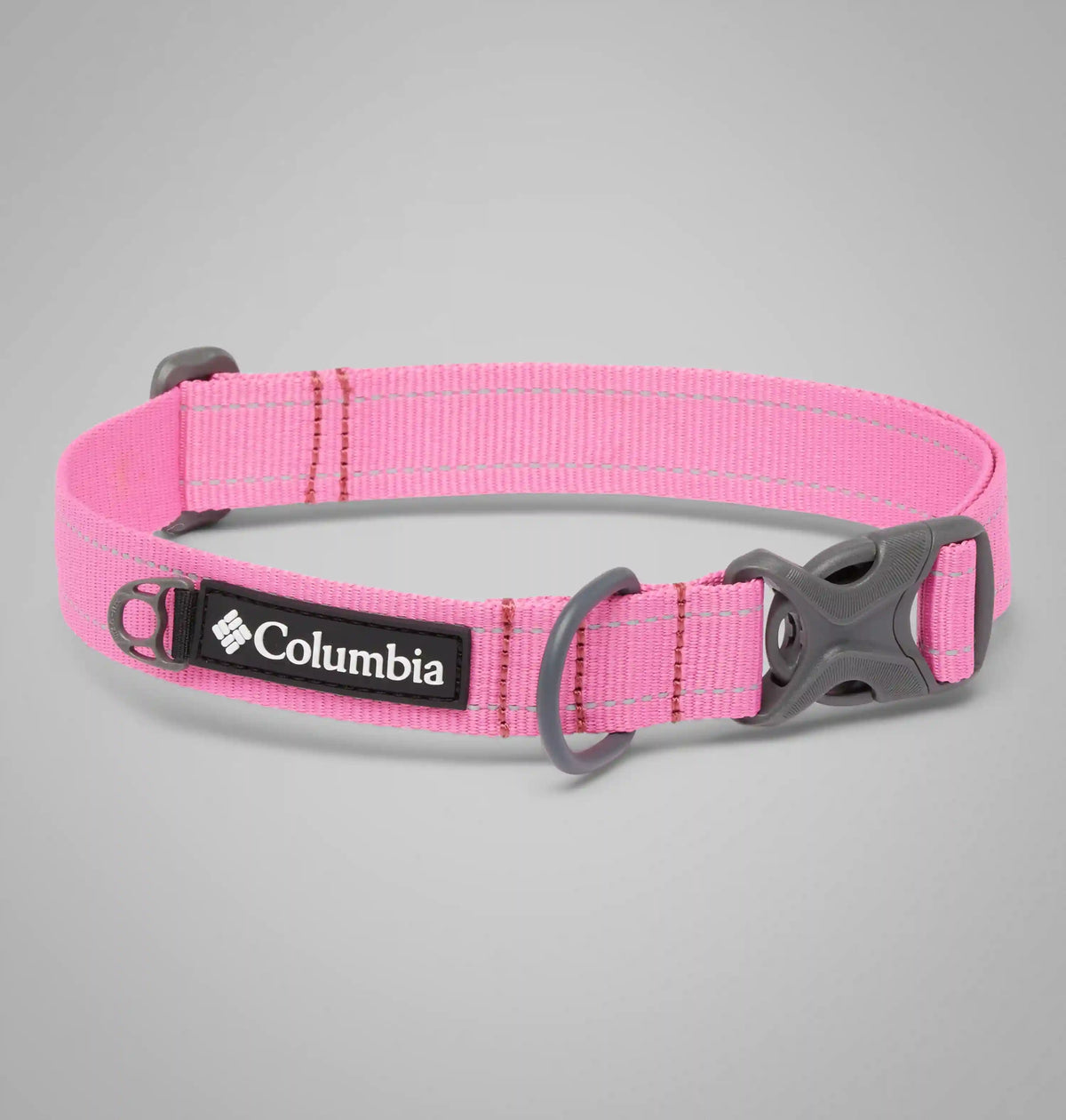 Silver Ridge Dog Collar