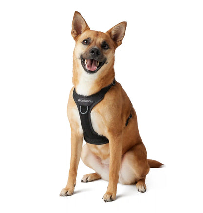 Silver Ridge Dog Harness