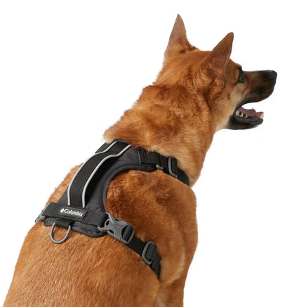 Silver Ridge Dog Harness