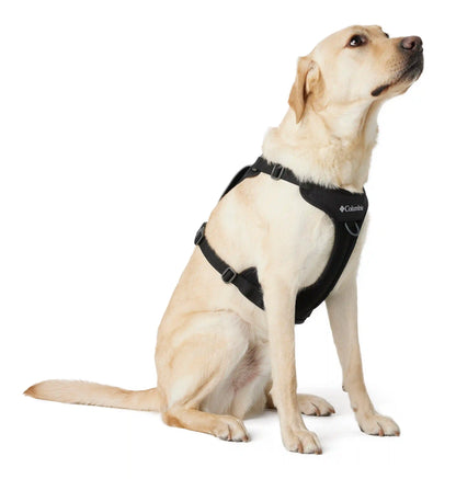 Silver Ridge Dog Harness